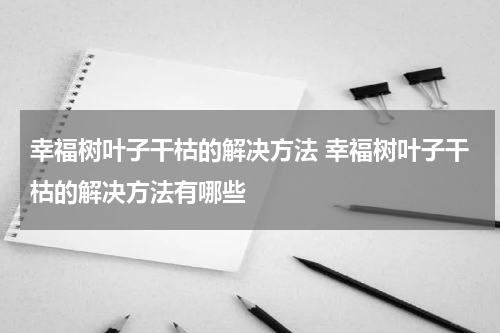 幸福树叶子干枯的解决方法 幸福树叶子干枯的解决方法有哪些