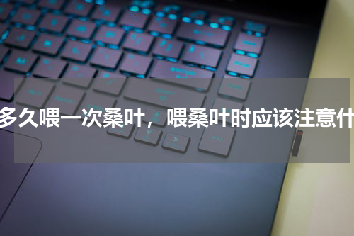 蚕多久喂一次桑叶，喂桑叶时应该注意什么