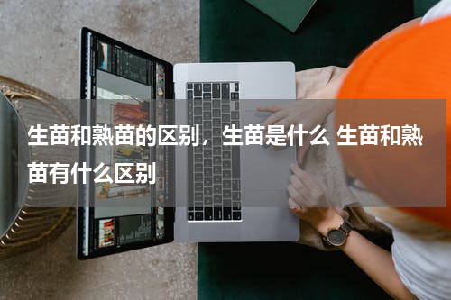 生苗和熟苗的区别，生苗是什么 生苗和熟苗有什么区别
