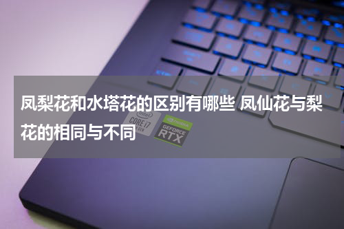 凤梨花和水塔花的区别有哪些 凤仙花与梨花的相同与不同