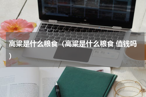 高粱是什么粮食（高粱是什么粮食 值钱吗）