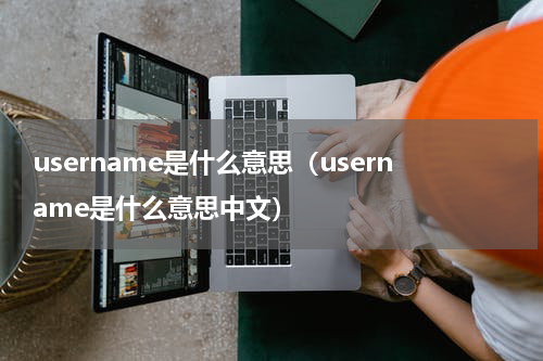 username是什么意思（username是什么意思中文）