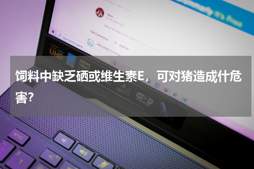 饲料中缺乏硒或维生素E，可对猪造成什危害？