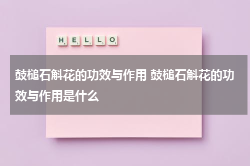鼓槌石斛花的功效与作用 鼓槌石斛花的功效与作用是什么