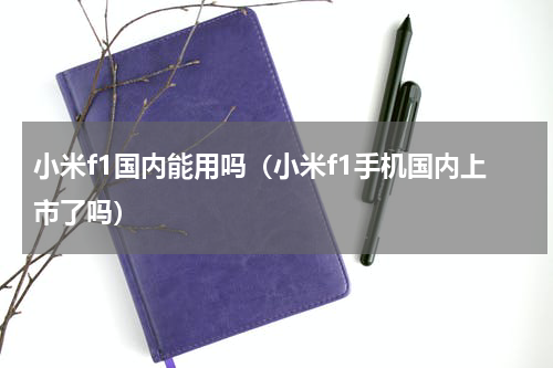 小米f1国内能用吗（小米f1手机国内上市了吗）