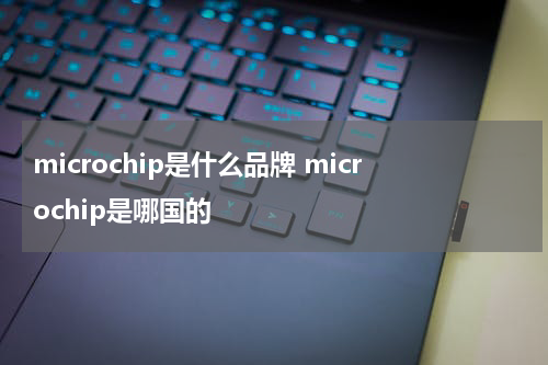 microchip是什么品牌 microchip是哪国的
