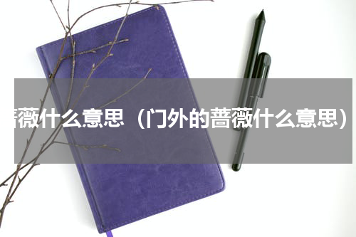 蔷薇什么意思（门外的蔷薇什么意思）
