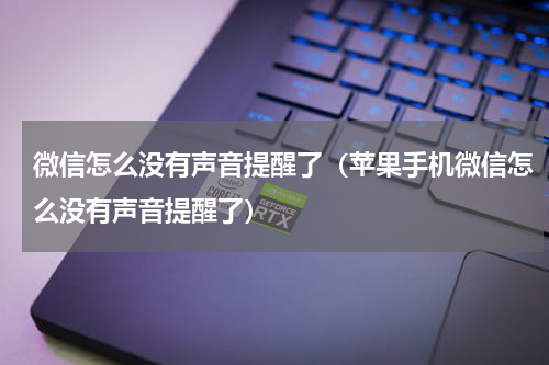 微信怎么没有声音提醒了（苹果手机微信怎么没有声音提醒了）