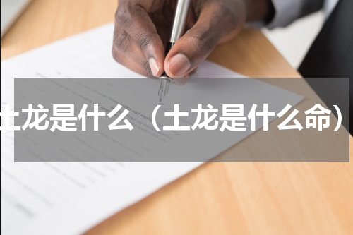 土龙是什么（土龙是什么命）