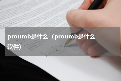 proumb是什么（proumb是什么软件）