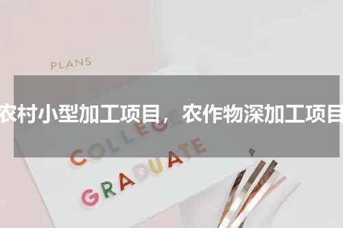 农村小型加工项目，农作物深加工项目
