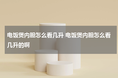 电饭煲内胆怎么看几升 电饭煲内胆怎么看几升的啊