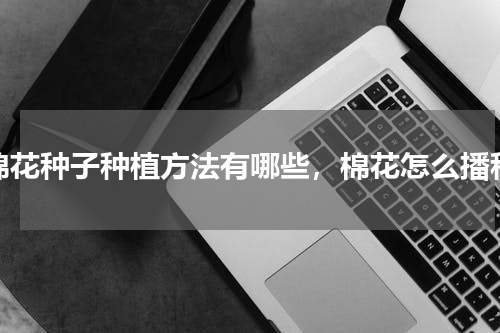 棉花种子种植方法有哪些，棉花怎么播种