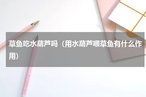 草鱼吃水葫芦吗（用水葫芦喂草鱼有什么作用）