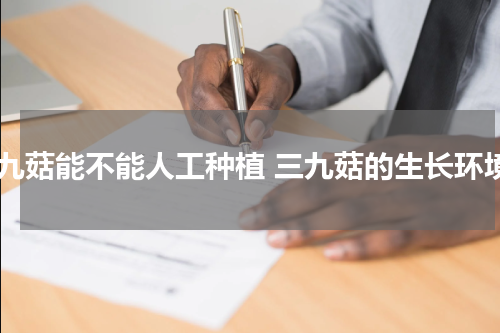 三九菇能不能人工种植 三九菇的生长环境