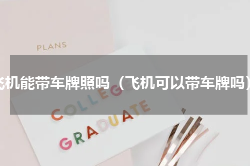 飞机能带车牌照吗（飞机可以带车牌吗）