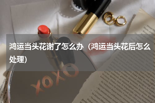 鸿运当头花谢了怎么办（鸿运当头花后怎么处理）