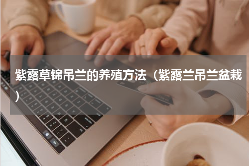 紫露草锦吊兰的养殖方法（紫露兰吊兰盆栽）