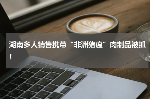 湖南多人销售携带“非洲猪瘟”肉制品被抓！
