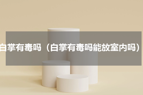 白掌有毒吗（白掌有毒吗能放室内吗）