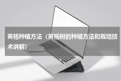 黄杨种植方法（黄杨树的种植方法和栽培技术讲解）