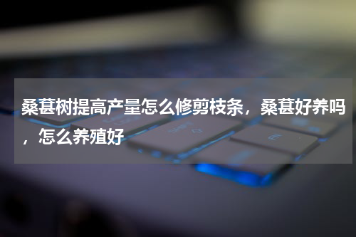 桑葚树提高产量怎么修剪枝条，桑葚好养吗，怎么养殖好