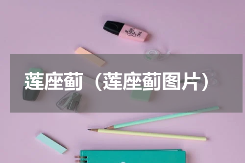 莲座蓟（莲座蓟图片）