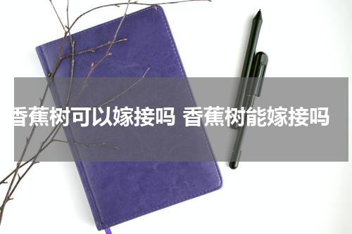 香蕉树可以嫁接吗 香蕉树能嫁接吗