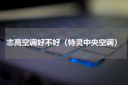 志高空调好不好（特灵中央空调）