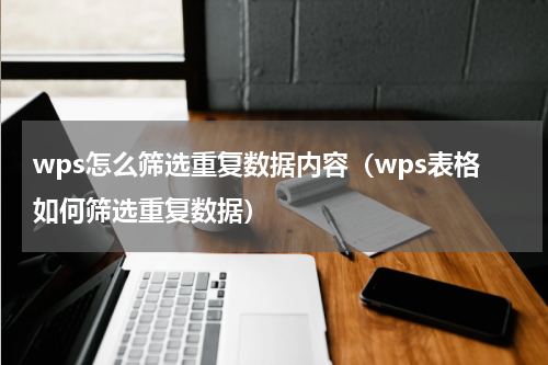 wps怎么筛选重复数据内容（wps表格如何筛选重复数据）