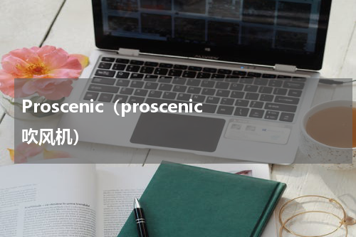 Proscenic（proscenic吹风机）