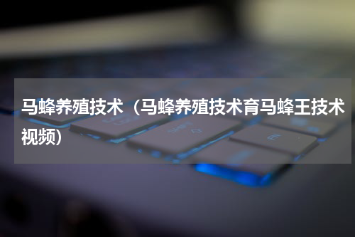 马蜂养殖技术（马蜂养殖技术育马蜂王技术视频）