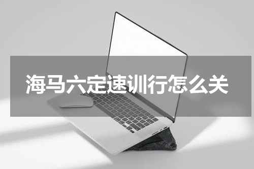 海马六定速训行怎么关