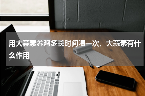 用大蒜素养鸡多长时间喂一次，大蒜素有什么作用