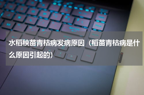 水稻秧苗青枯病发病原因（稻苗青枯病是什么原因引起的）