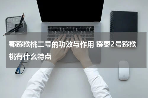 鄂猕猴桃二号的功效与作用 猕枣2号猕猴桃有什么特点