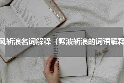 劈风斩浪名词解释（劈波斩浪的词语解释）