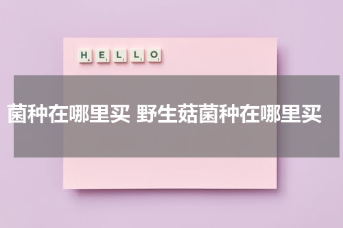 菌种在哪里买 野生菇菌种在哪里买