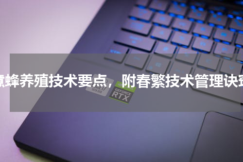 意蜂养殖技术要点，附春繁技术管理诀窍