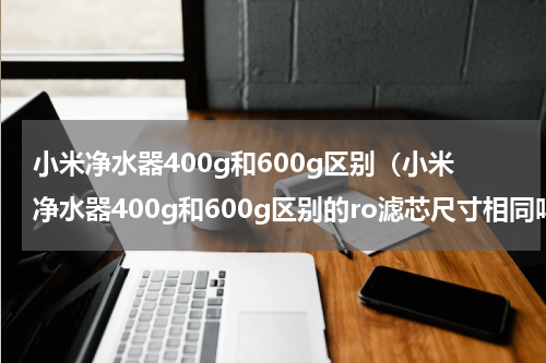 小米净水器400g和600g区别（小米净水器400g和600g区别的ro滤芯尺寸相同吗?）
