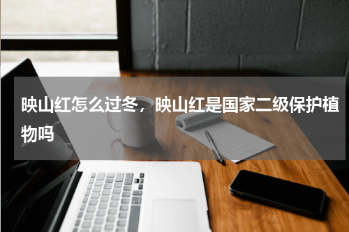 映山红怎么过冬，映山红是国家二级保护植物吗