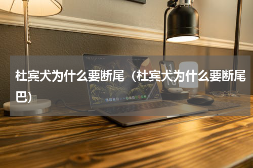 杜宾犬为什么要断尾（杜宾犬为什么要断尾巴）