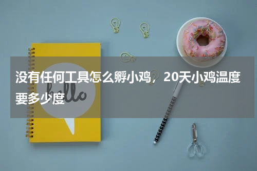 没有任何工具怎么孵小鸡，20天小鸡温度要多少度
