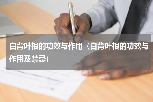 白背叶根的功效与作用（白背叶根的功效与作用及禁忌）
