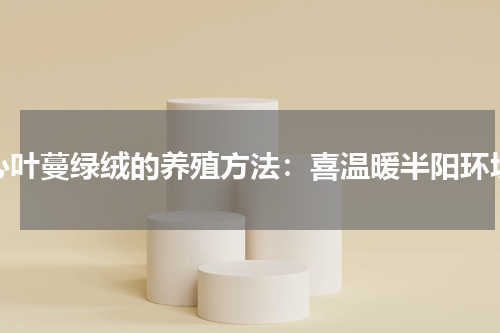 心叶蔓绿绒的养殖方法：喜温暖半阳环境