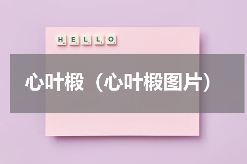 心叶椴（心叶椴图片）