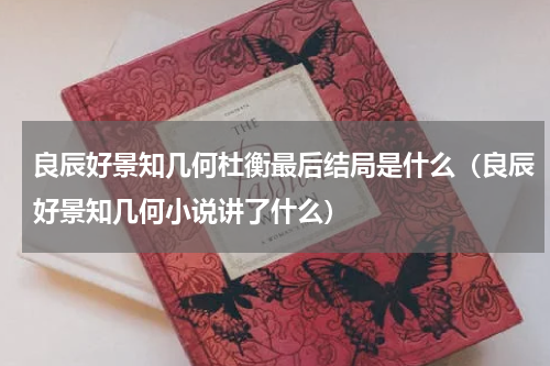 良辰好景知几何杜衡最后结局是什么（良辰好景知几何小说讲了什么）