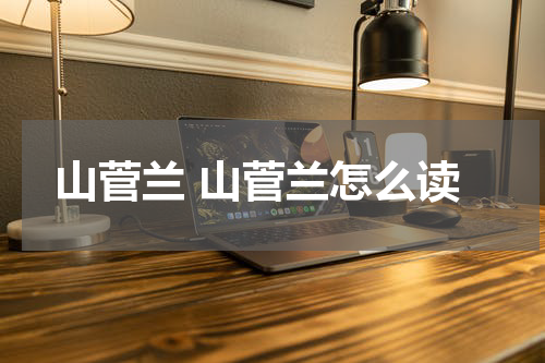 山菅兰 山菅兰怎么读