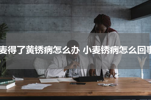 小麦得了黄锈病怎么办 小麦锈病怎么回事