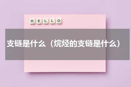 支链是什么（烷烃的支链是什么）